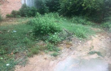 فروش زمین مسکونی 132 متر در هولا - ذغالچال