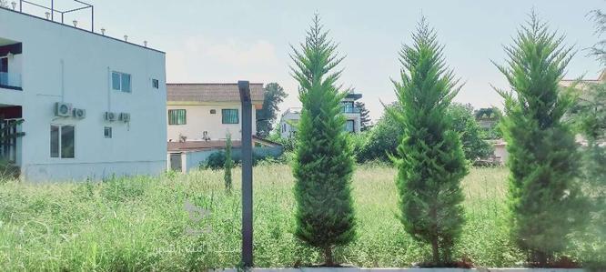 فروش زمین مسکونی 260 متر در امیررود در گروه خرید و فروش املاک در مازندران در شیپور-عکس1