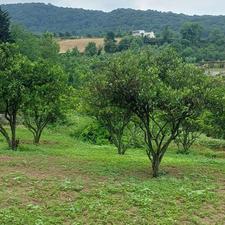 150متر چسبیده به بافت سانخیل