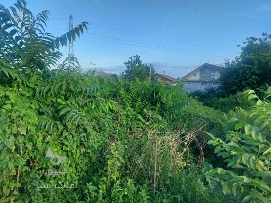 زمین باغی 4500 متر در منطقه توریستی (صحنه سرا) رودسر در گروه خرید و فروش املاک در گیلان در شیپور-عکس1