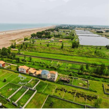 فروش زمین مسکونی ساحلی 250متر در گروه خرید و فروش املاک در گیلان در شیپور-عکس1
