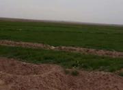4000 متر زمین کشاورزی در امیرآباد