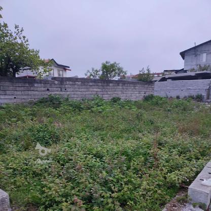 فروش زمین مسکونی 168 متر در بلوار طالقانی در گروه خرید و فروش املاک در مازندران در شیپور-عکس1