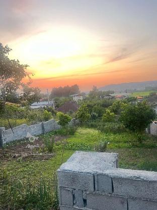 زمین مسکونی با مجوز ساخت 330متر در گروه خرید و فروش املاک در مازندران در شیپور-عکس1
