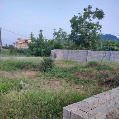 فروش زمین مسکونی 250 متر در بلوار معلم در گروه خرید و فروش املاک در مازندران در شیپور-عکس1