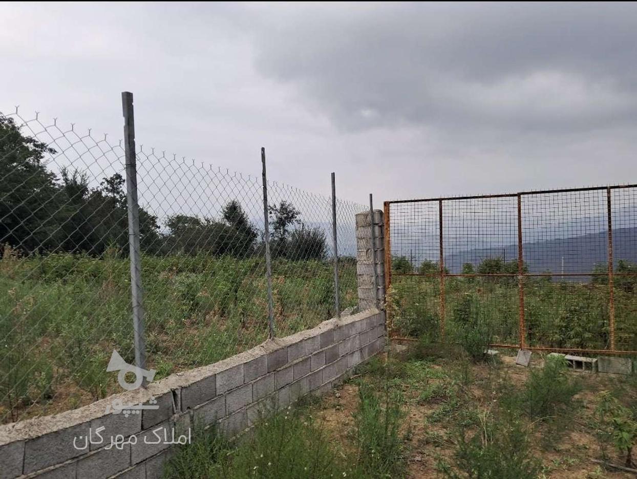 زمین 2200 متری در روستای ورکی با موقعیتی دنج در گروه خرید و فروش املاک در مازندران در شیپور-عکس1