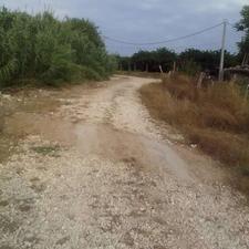 فروش زمین مسکونی 250 متر در جاده فرح آباد