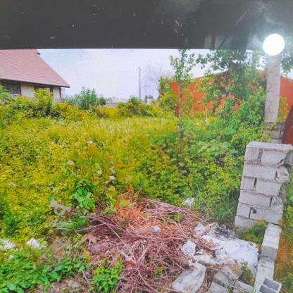 فروش زمین مسکونی ساحلی180 متر سندداردر بیشه کلامحموداباد در گروه خرید و فروش املاک در مازندران در شیپور-عکس1