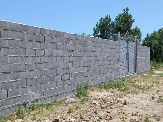  زمین دور دیوار با تمام امتیازات 240 متر جاده بابل  بهنمیر در گروه خرید و فروش املاک در مازندران در شیپور-عکس1