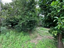 فروش زمین مسکونی با سند تک برگ لنگرود دریاسر در شیپور