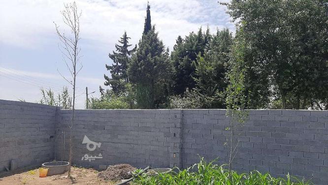 فروش زمین خانه باغی 570 متر در جاده بهنمیر تهاتر با ماشین در گروه خرید و فروش املاک در مازندران در شیپور-عکس1