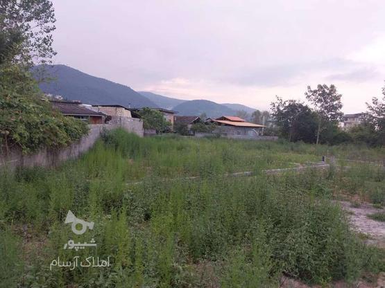 فروش 200 متر زمین در حوالی کارکوه در گروه خرید و فروش املاک در مازندران در شیپور-عکس1