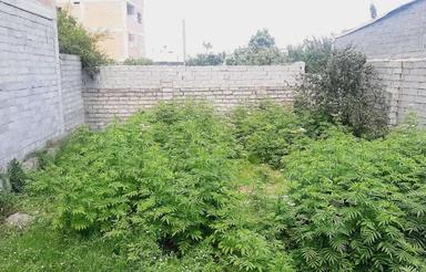 زمین مسکونی 160 متر در کمربندی شمالی