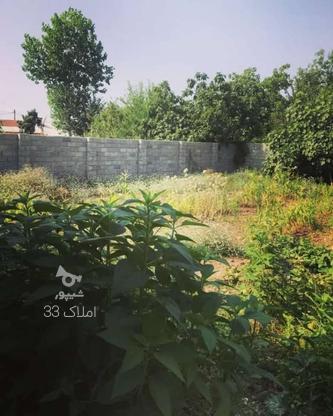 فروش زمین مسکونی 175 متر در آقاسید حسن در گروه خرید و فروش املاک در گیلان در شیپور-عکس1