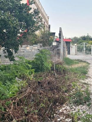 زمین مسکونی 200 متر در تنگ لته در گروه خرید و فروش املاک در مازندران در شیپور-عکس1