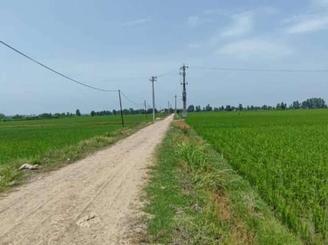 زمین کشاورزی 3000 متر در امیرآباد