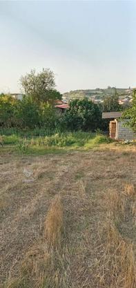زمین ویلایی داخل بافت مسکونی 1000متر ساری کردخیل در گروه خرید و فروش املاک در مازندران در شیپور-عکس1