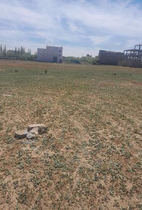 فروش زمین مسکونی 140 متر در ابهر در گروه خرید و فروش املاک در زنجان در شیپور-عکس1