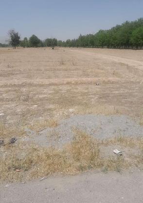 فروش زمین اداری و تجاری 100 متر در ابهر در گروه خرید و فروش املاک در زنجان در شیپور-عکس1