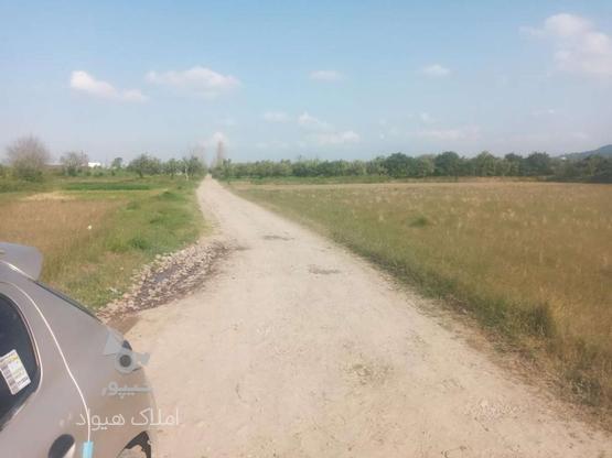 فروش زمین کشاورزی 100 متر در جاده نظامی در گروه خرید و فروش املاک در مازندران در شیپور-عکس1