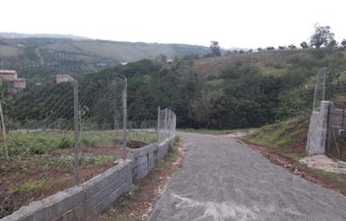 فروش زمین 300 متر در چپی معاوضه با ماشین فوری