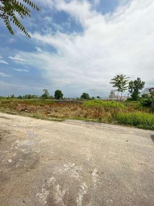 فروش زمین مسکونی 210 متر در کلاصفا در گروه خرید و فروش املاک در مازندران در شیپور-عکس1