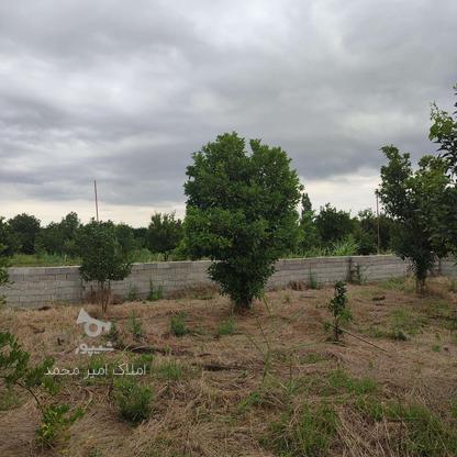 فروش زمین 300 متردورتا دوردیوار در جاده نظامی حاجیکلا ارزلو  در گروه خرید و فروش املاک در مازندران در شیپور-عکس1