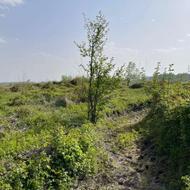 فروش زمین کشاورزی 750 متر در منطقه آزاد