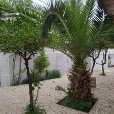 فروش ویلا 554 متر در محمد حسین آباد