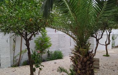 فروش ویلا 554 متر در محمد حسین آباد