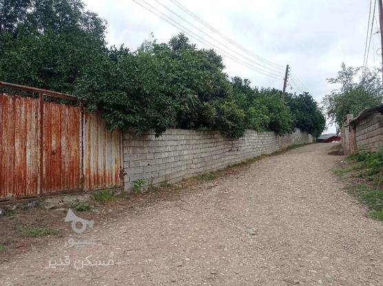 فروش زمین مسکونی 300 متر در پرچینک در گروه خرید و فروش املاک در مازندران در شیپور-عکس1