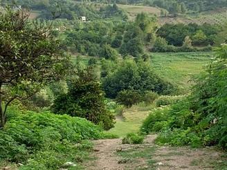 فروش زمین مسکونی 500 متر سانخیل