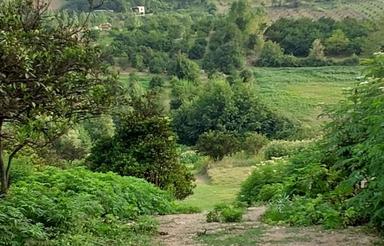 فروش زمین مسکونی 500 متر سانخیل