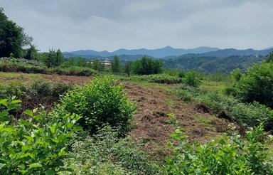 زمین 7,300 متری داخل طرح هادی در سلاگجان واجارگاه