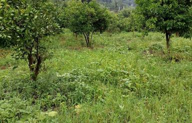 فروش زمین 200 متر بافت سان خیل