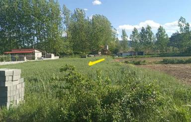 زمین خانه باغی کیاسر لاله