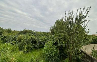 زمین 450مترمسکونی نزدیک بر اصلی سوخته کلا جاده نظامی