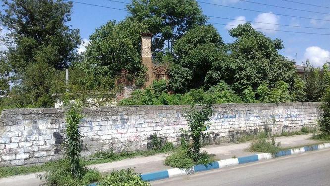زمین تجاری مسکونی727متر گذر اصلی شلمان به املش در گروه خرید و فروش املاک در گیلان در شیپور-عکس1