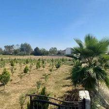 اقساطی 150 متر زمین سند دار چسبیده به بافت