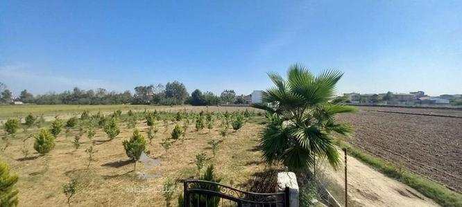 اقساطی 150 متر زمین سند دار چسبیده به بافت مسکونی در گروه خرید و فروش املاک در مازندران در شیپور-عکس1