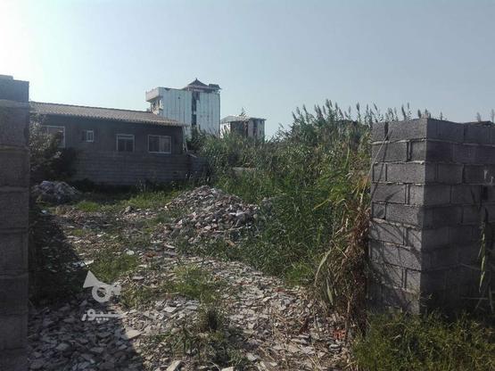 زمین مسکونی 460 متری در شهرک ساحلی علی آباد میر در گروه خرید و فروش املاک در مازندران در شیپور-عکس1