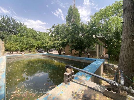 فروش 3400متر باغ با موقعیت تجاری جابان سند تک برگ (9) در گروه خرید و فروش املاک در تهران در شیپور-عکس1