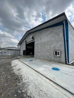 فروش سوله (سورتینگ با تمامی تجهیزات)2447 متر در گروه خرید و فروش املاک در مازندران در شیپور-عکس1