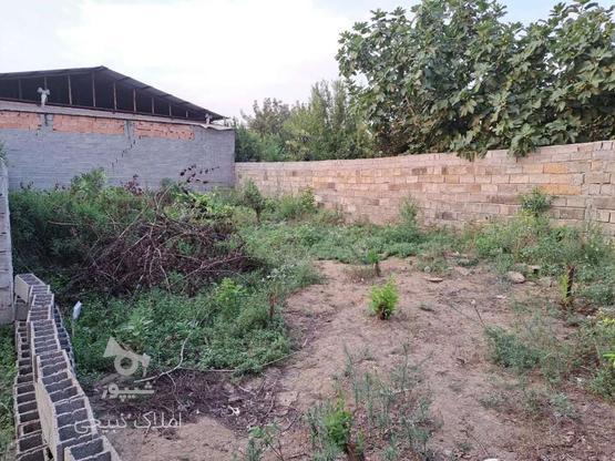 فروش زمین مسکونی 190متراسکندرکلا(سندتک برگ) در گروه خرید و فروش املاک در مازندران در شیپور-عکس1