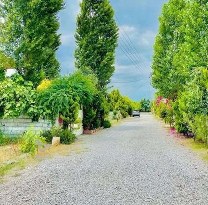 فروش زمین مسکونی 300 متر در کلوده در گروه خرید و فروش املاک در مازندران در شیپور-عکس1
