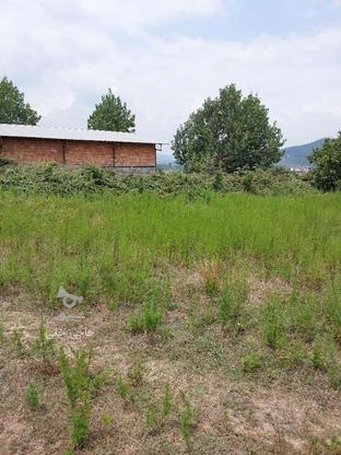 فروش زمین 2000 متر پایین کولا در گروه خرید و فروش املاک در مازندران در شیپور-عکس1