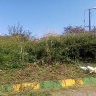 فروش زمین مسکونی 325 متر نمک آبرود