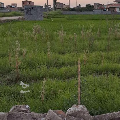 زمین مسکونی 100 متر در میدان هادی نورزی در گروه خرید و فروش املاک در مازندران در شیپور-عکس1