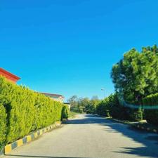 زمین ساحلی 305 متر شهرک قناری چپکرود