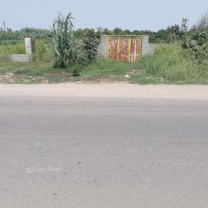 زمین تجاری 1000 متری در جاده بهنمیر در گروه خرید و فروش املاک در مازندران در شیپور-عکس1